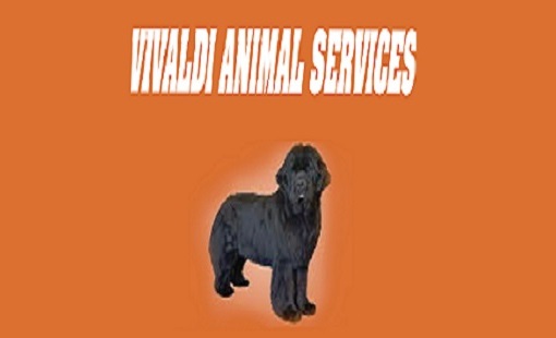 Vivaldi Animal Services